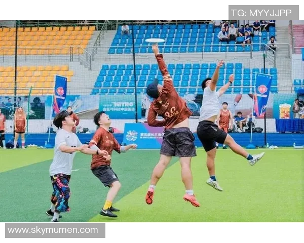 飞盘竞技新视角：深入分析北京飞盘队的战术灵活性与团队协作